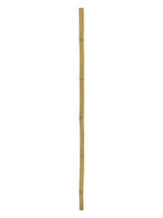 Europalms Bamboo tube, 5cm, 200cm