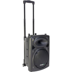 Ibiza Sound Portable 10" Battery Powered Bluetooth PA System inc Wireless Mics