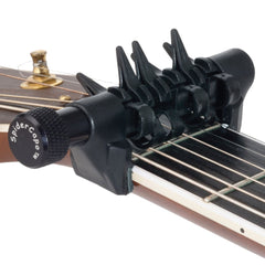 D'andrea Spider Capo - Standard