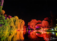 Luminaire extérieur LEDJ Spectra QX40 Pixel MKII