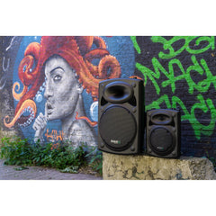 Ibiza PORT12UHF-BT Portable Bluetooth PA System with 2x Wireless UHF Microphone
