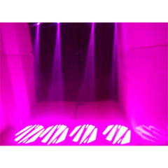 SS LED Moving Head 60W Gobo LED DJ Light Effect *B-Stock