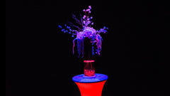 Chauvet DJ Freedom Centerpiece Set Battery Table Decor Wedding Venue Lighting *BSTOCK*