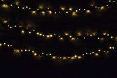 Lyyt 200 LED-Lichterkette mit Timer-Steuerung, warmweiße Weihnachtsbeleuchtung