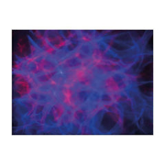Showtec Dreamwave LED Lighting Effect Hypnos DJ Light Effect