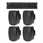 Passive Speakers