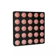 Eurolite LED Pixel Matrix Panel 5x5 RGB/WW Pixel Control DMX