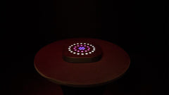 Chauvet DJ Freedom Centerpiece Set Battery Table Decor Wedding Venue Lighting *BSTOCK*