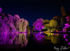 Luminaire extérieur LEDJ Spectra QX40 Pixel MKII