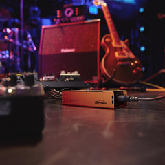 Palmer PWT 12 IEC Universal Pedalboard Power Supply with USB
