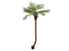 EUROPALMS Phoenix palmier louxor courbé, plante artificielle, 240cm