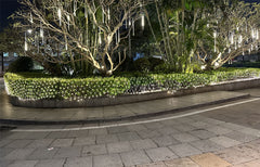 eLumen8 Net String Fairy Light 3m x 2m LED Warm White IP65