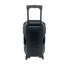 Roar Batterie Enceinte Portable Bluetooth PA Sound System DJ Party 500W