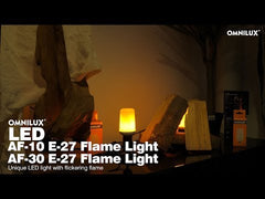 Omnilux LED AF-30 E27 Flame Light
