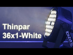 Ibiza Light THINPAR-36X1WHITE EXTRAFLACH PAR-PROJEKTOR - 36 x 1W WEISSE LED