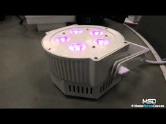 American DJ 5P HEX PEARL 5 x 10W HEX LED White Par Can