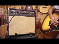 Carlsbro Sherwood 30 Acoustic Guitar Combo Amplifier Speaker