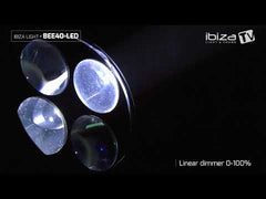 Ibiza Light Bee Effect Lyre 4 x 10W LED